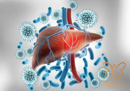 نتیجه گیری زندگی با هپاتیت و دسترسی به خدمات زیبایی نتیجه گیری زندگی با هپاتیت و دسترسی به خدمات زیبایی