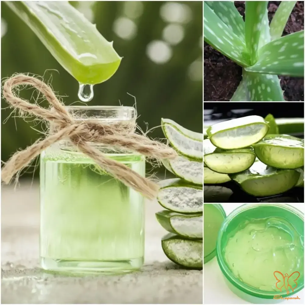 روش تهیه بمب آبرسان و ضدالتهاب روش تهیه بمب آبرسان و ضدالتهاب