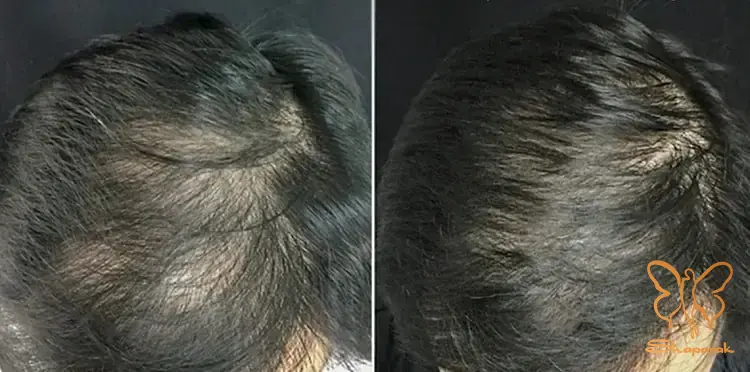 خیر قاطع خیر قاطع