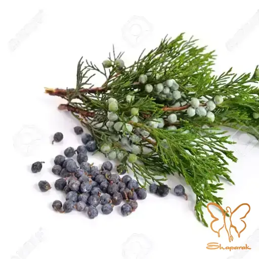 دانه ابهل دانه ابهل