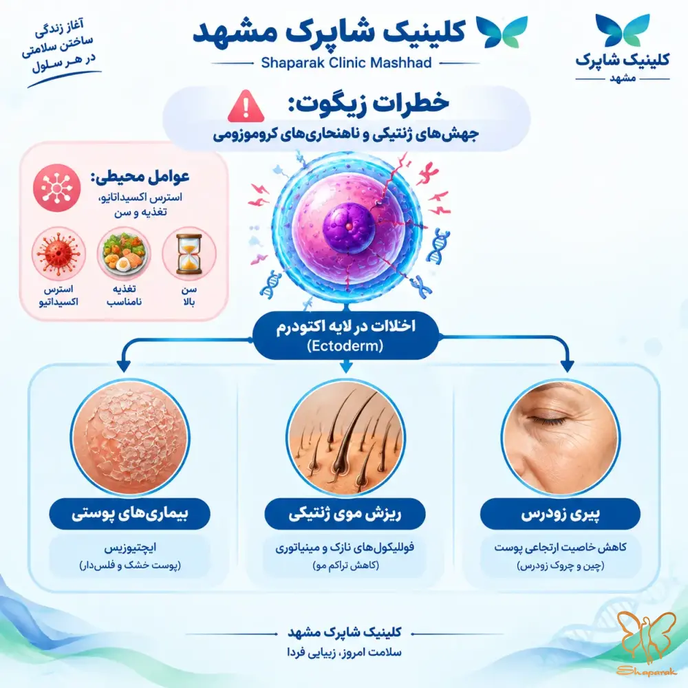 مینیاتوری مینیاتوری
