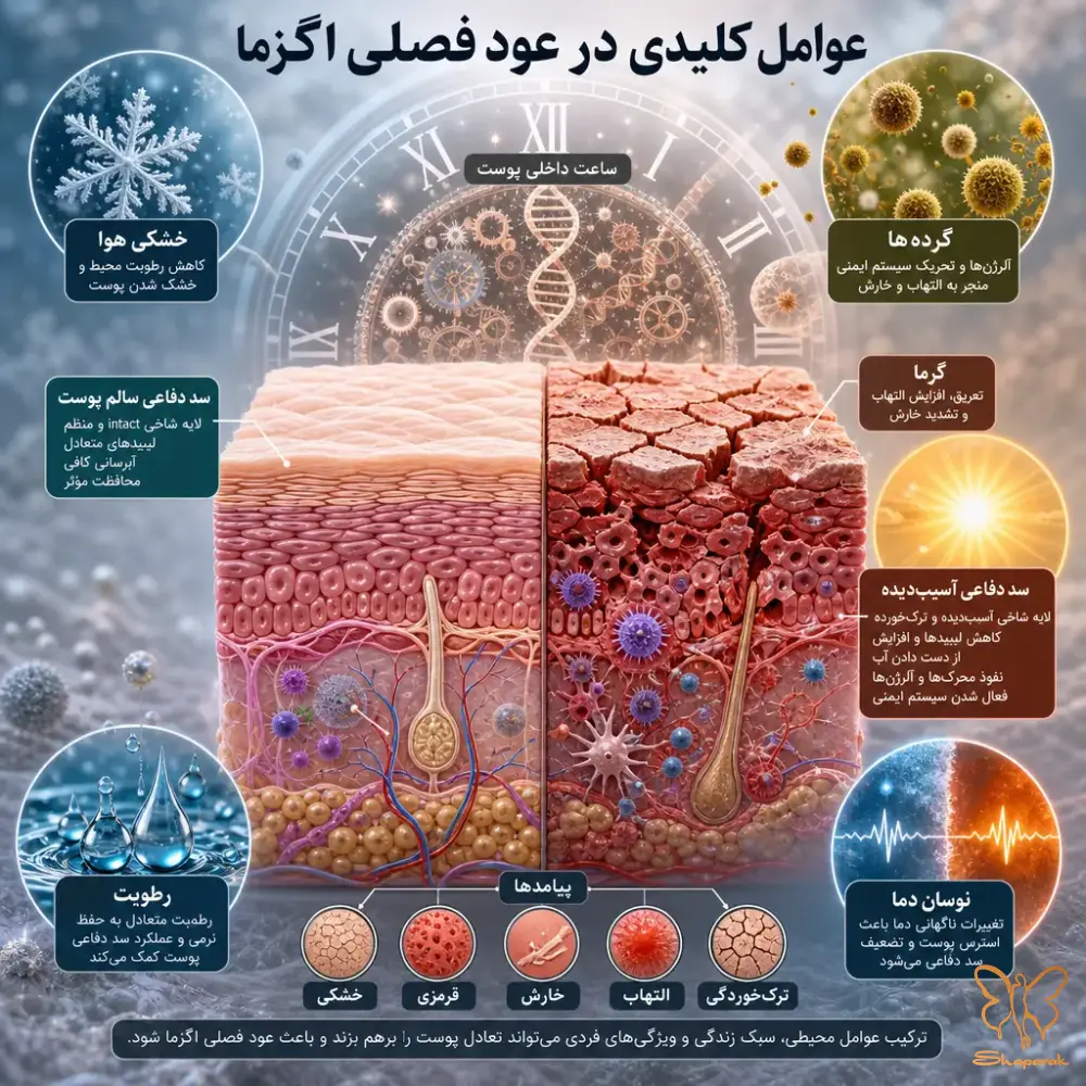 3 نور خورشید شمشیری دولبه برای بیماران پسوریازیس