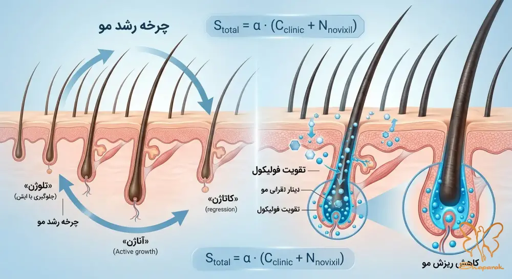 نویکسیل