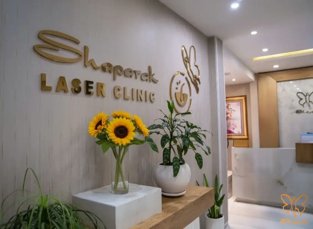 37779258o 1j9p6p4qs1vp71jvm1nfnonkslom .webp