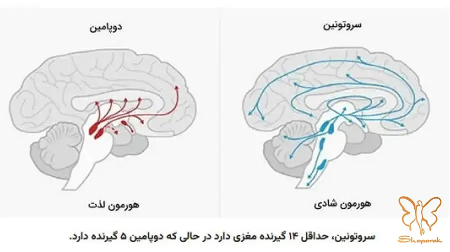  هورمون حال خوب