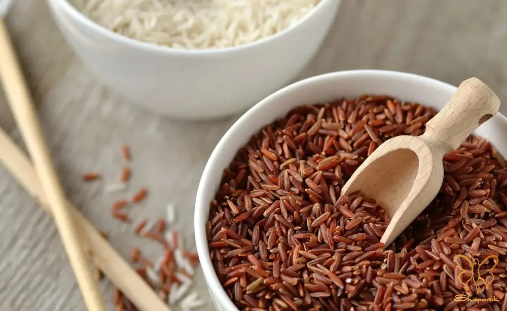 اسیدهای آمینه اسیدهای آمینه