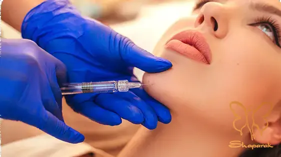 دستورالعملهای مراقبتی و پشتیبانی دستورالعملهای مراقبتی و پشتیبانی