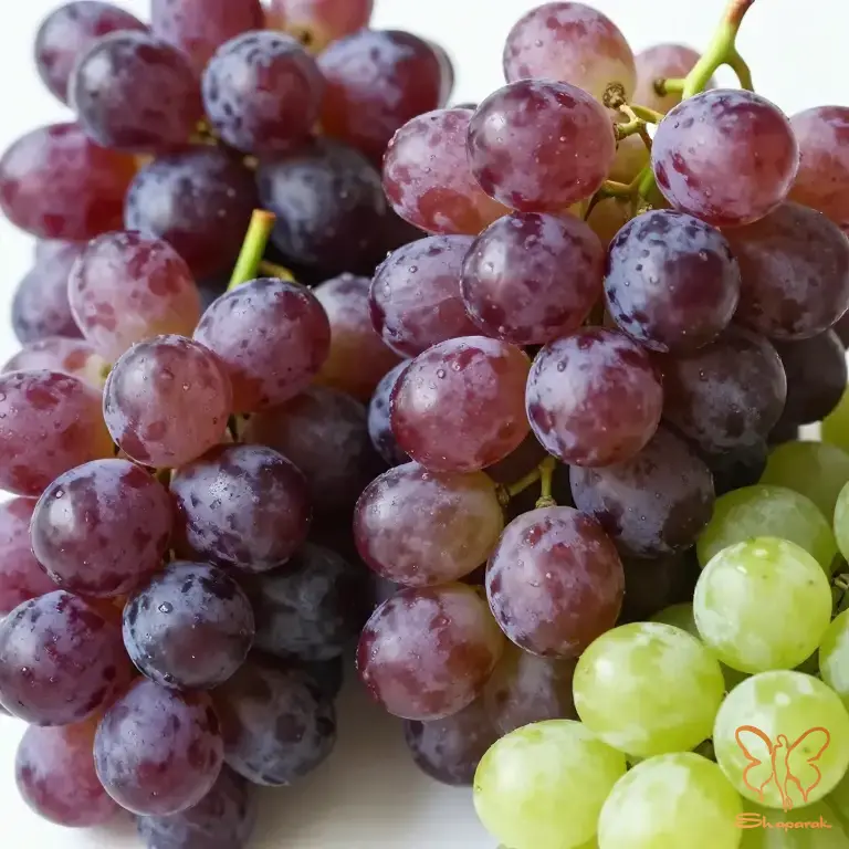 رسوراترول رسوراترول