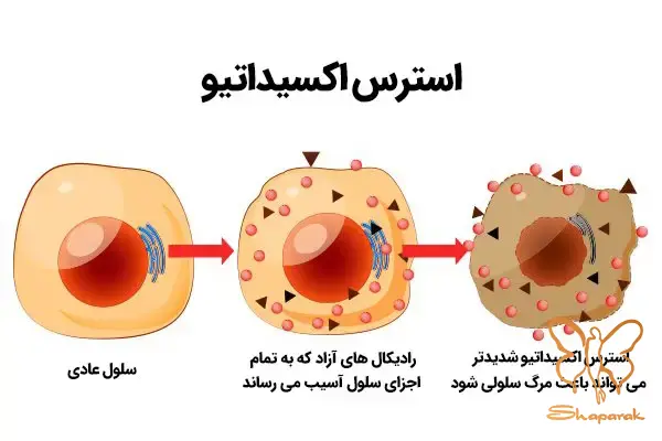 سایت کلینیک مراجعه فرمائید سایت کلینیک مراجعه فرمائید