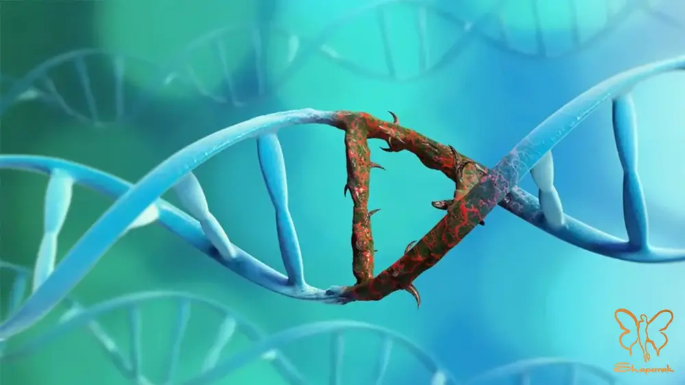 نقش کلیدی استرس تغذیه و عفونت ها در شعله ور شدن بیماری های خودایمنی