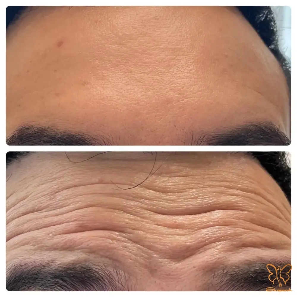 برند مطرح در مشهد برند مطرح در مشهد