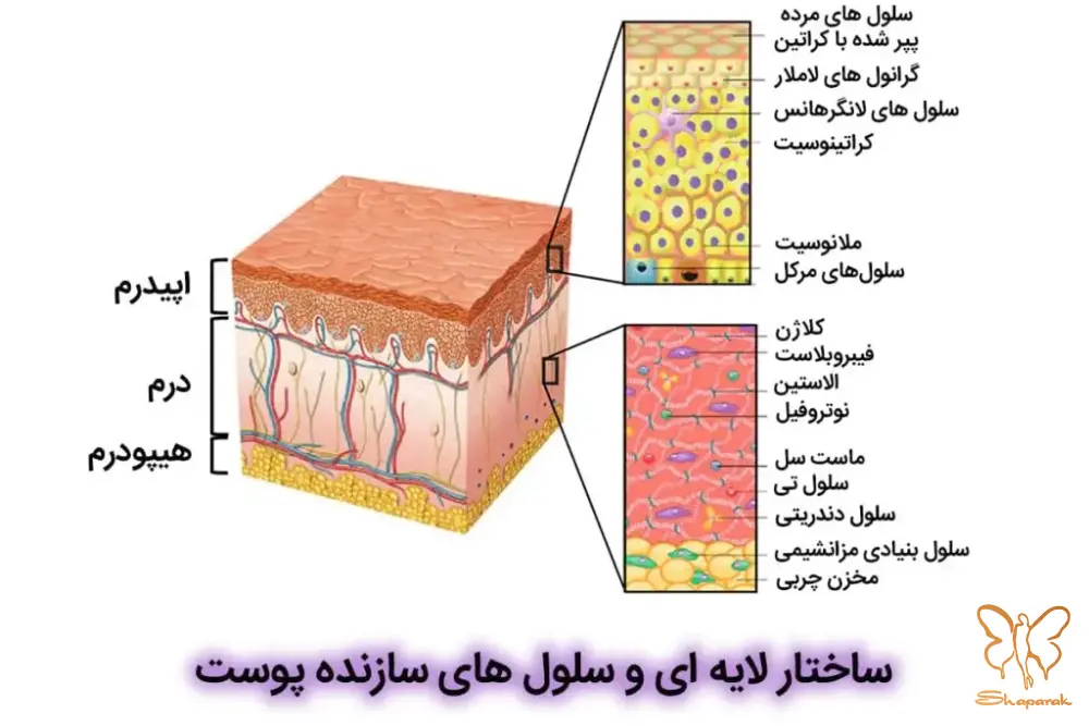 جوانسازی پوست 