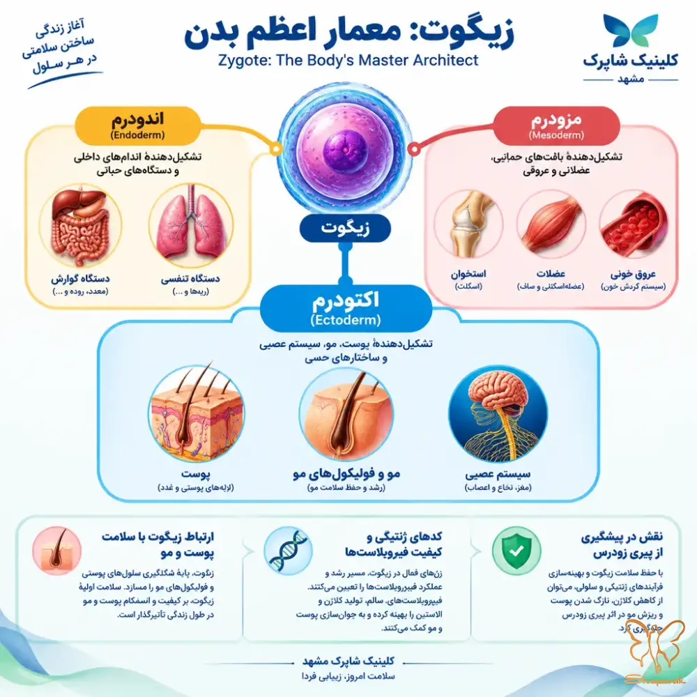 آلوپسی آلوپسی