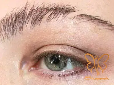 آیا ابروی ریخته شده دوباره رشد می کند آیا ابروی ریخته شده دوباره رشد می کند