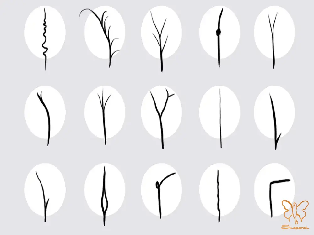 موخوره Split Ends موخوره Split Ends