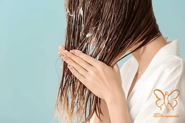 تاریخچه زیبایی چه کسی ماسک مو را به دنیا معرفی کرد تاریخچه زیبایی چه کسی ماسک مو را به دنیا معرفی کرد