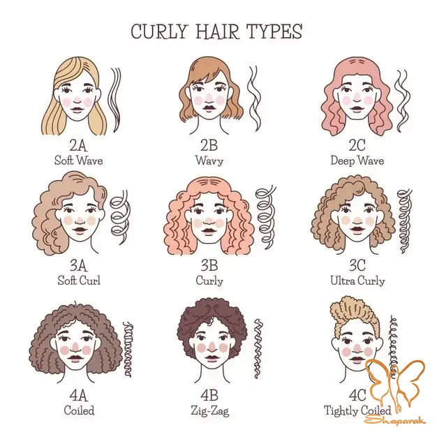 چرخه رشد موی ابرو چگونه کار می کند چرخه رشد موی ابرو چگونه کار می کند