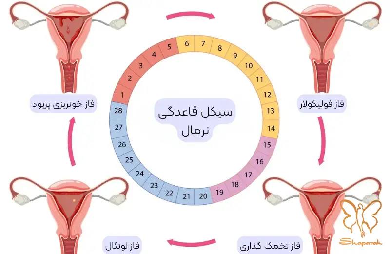پریود PMS چیست سفری ماهانه در بدن زنان پریود PMS چیست سفری ماهانه در بدن زنان