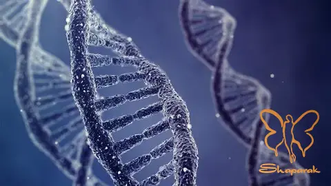 تاثیر سن و ژنتیک چه کسانی در معرض خطر هستند تاثیر سن و ژنتیک چه کسانی در معرض خطر هستند