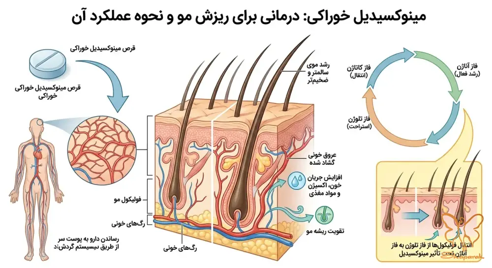 مکانیسم اثر سیستمیک برای تقویت فولیکولها