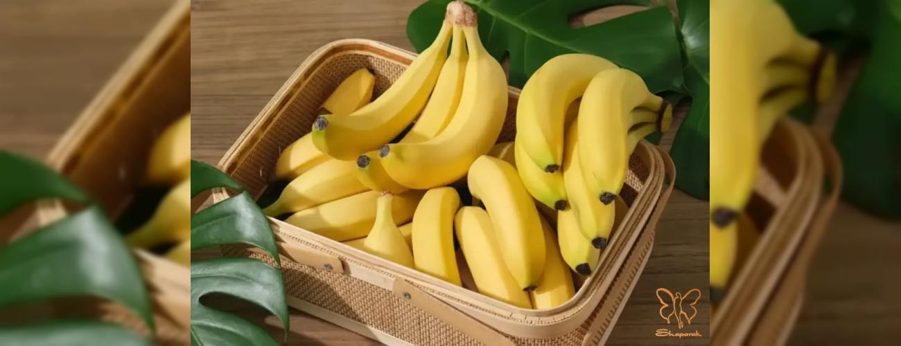 معجزه موز برای درمان جوش و ریزش مو؛ راهکارهای طبیعی و تخصصی در مشهد