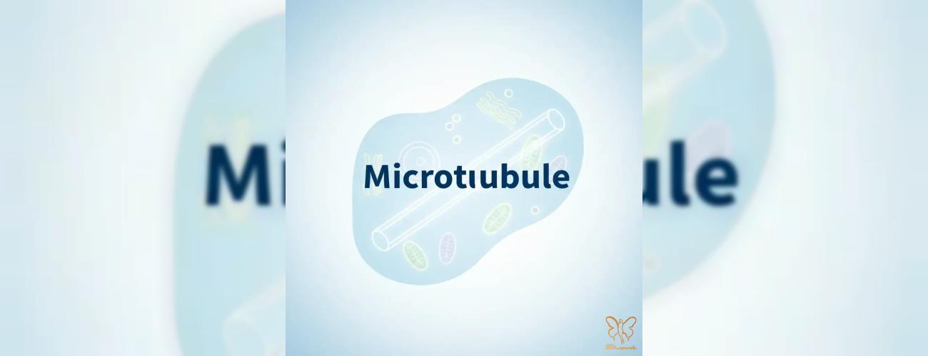 میکروتوبول: شاهراه حمل و نقل سلولی که سلامت مو و پوست شما به آن وابسته است! 