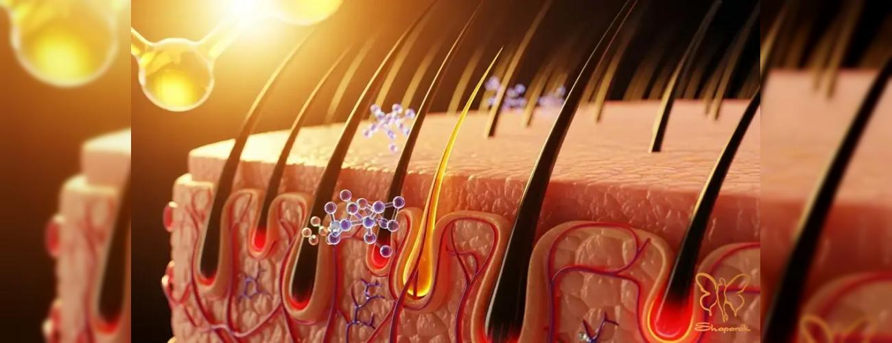 پروستیکا و مهار هورمون ریزش مو (DHT): بررسی ترکیب طلایی با PRP در مشهد