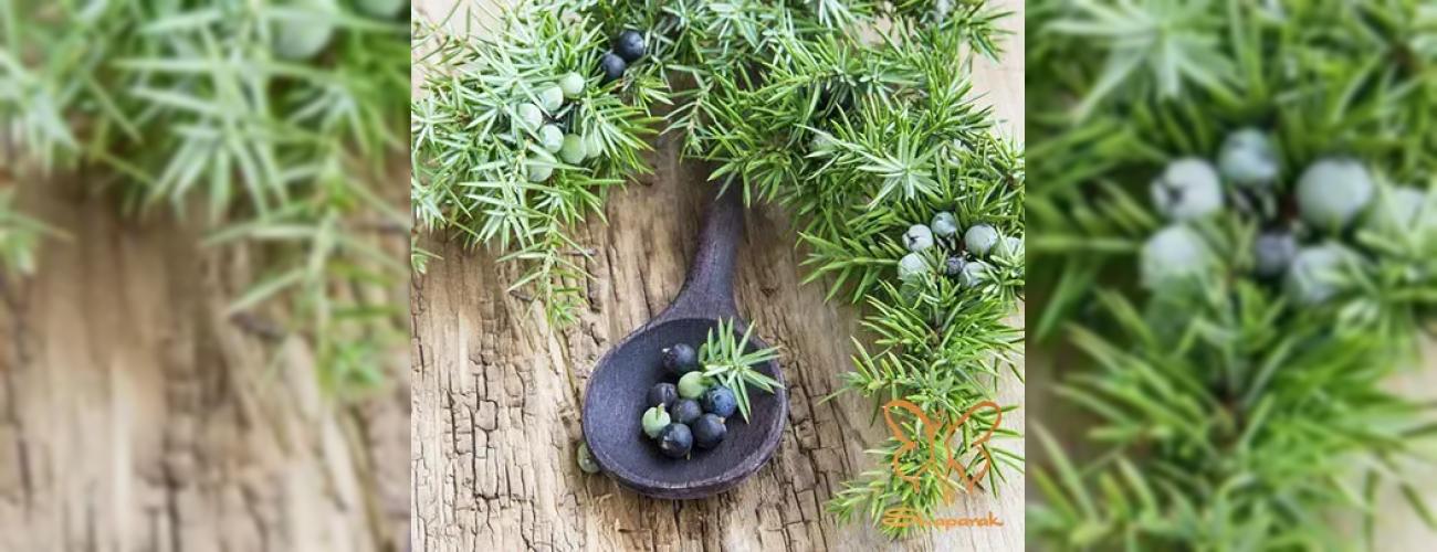 خواص دانه ابهل و پوستی شفاف در کلینیک شاپرک مشهد 