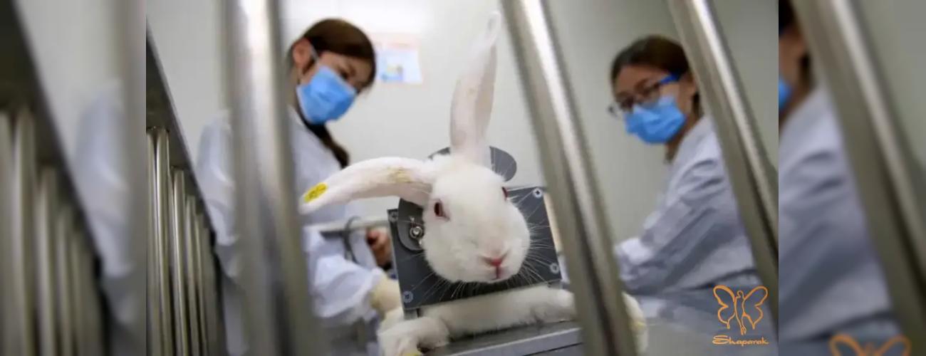 لوازم آرایش و پیری پوست: از تست حیوانی تا روتین گیاهی