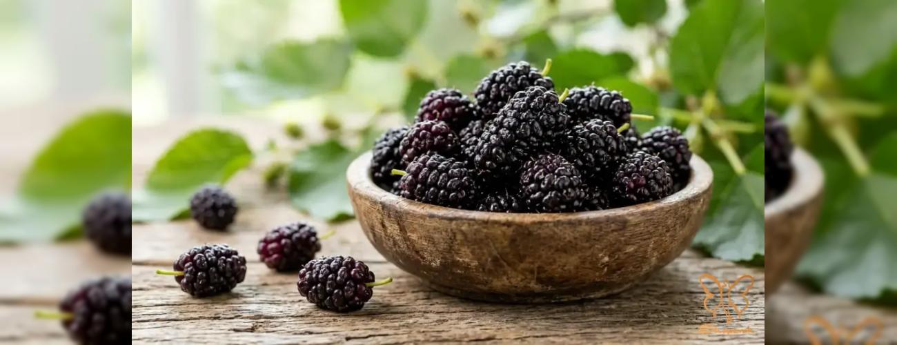 فواید شگفت‌انگیز مصرف میوه شاهتوت برای زیبایی پوست و مو 