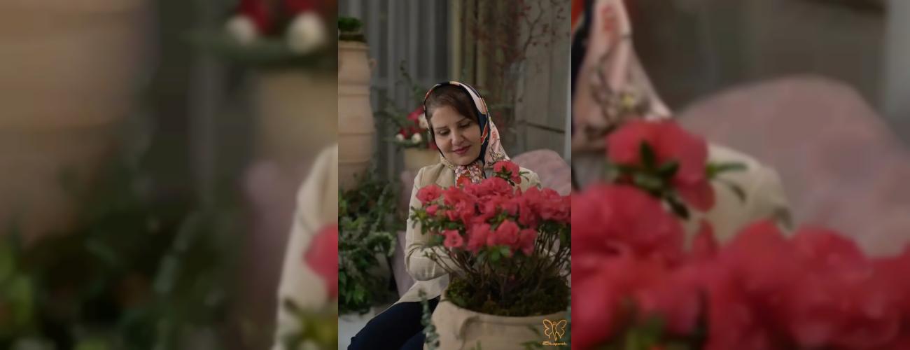 جوانسازی پوست بدون جراحی در کلینیک شاپرک طلایی