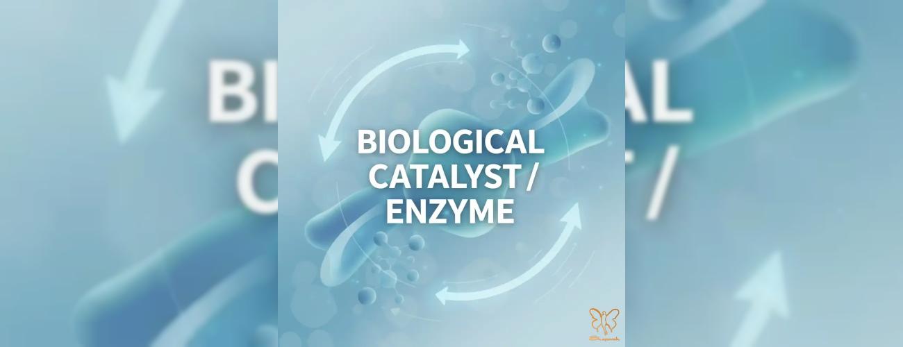 آیا پوست شما به کاتالیزور نیاز دارد؟ راهکارهای مدرن درمان افتادگی پوست در مشهد