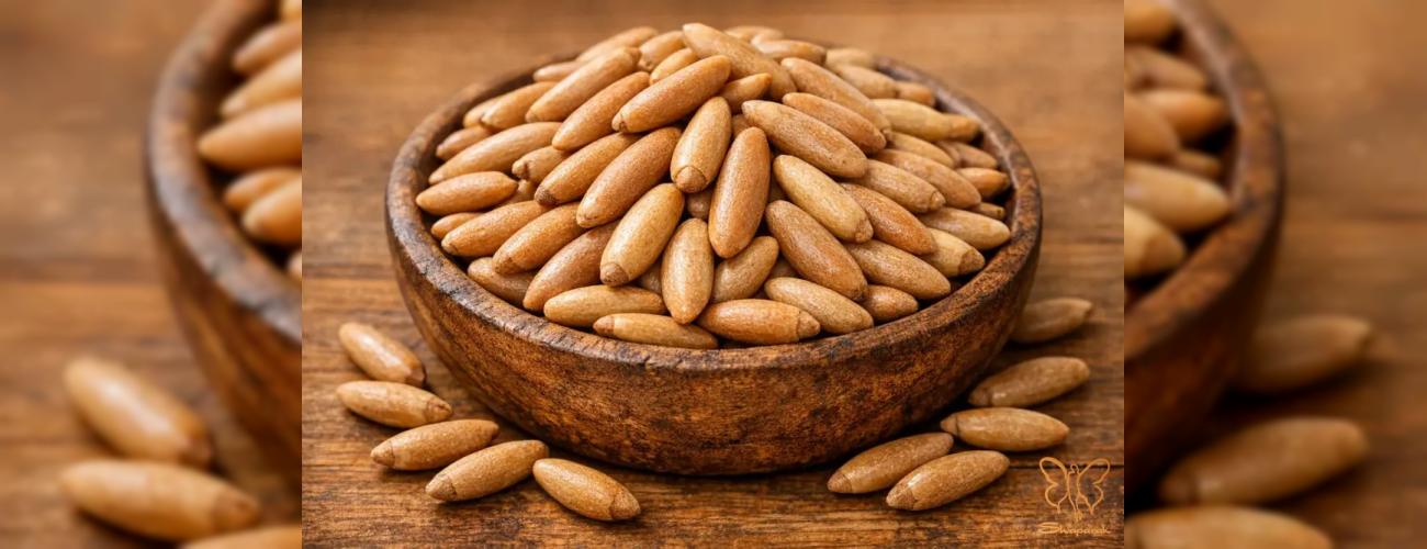 تاثیر معجزه‌آسای چلغوز بر پوست + معرفی بهترین کلینیک زیبایی در مشهد