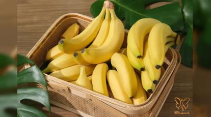 معجزه موز برای درمان جوش و ریزش مو؛ راهکارهای طبیعی و تخصصی در مشهد