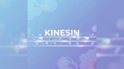 کاینزین (Kinesin) : موتور محرک زیبایی و نقش آن در درمان‌ های کلینیک شاپرک مشهد