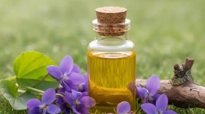 روغن بنفشه برای مو و پوست: معجزه یا افسانه؟ | مقایسه با PRP و مزوژل در مشهد