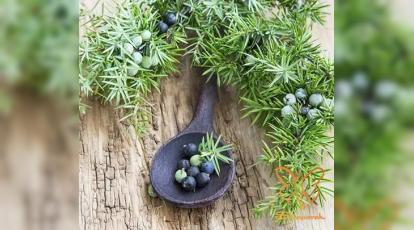 خواص دانه ابهل و پوستی شفاف در کلینیک شاپرک مشهد 