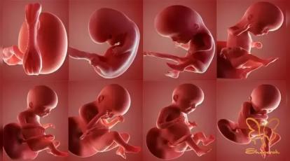 ممنوعیت های خدمات زیبایی برای خانم های باردار در کلینیک شاپرک مشهد 