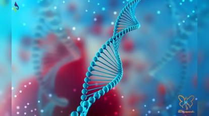 رمزگشایی از DNA برای زیبایی: نقش ژنتیک در پروتکل‌ های درمانی پوست و مو