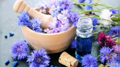 معجزه عرق کاسنی برای پوست؛ راز شفافیت صورت که پزشکان مشهد پیشنهاد می‌کنند