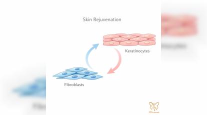 چرا پوستمان پیر می‌ شود؟ نقش حیاتی فیبروبلاست‌ ها در کلینیک شاپرک مشهد