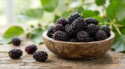 فواید شگفت‌انگیز مصرف میوه شاهتوت برای زیبایی پوست و مو 