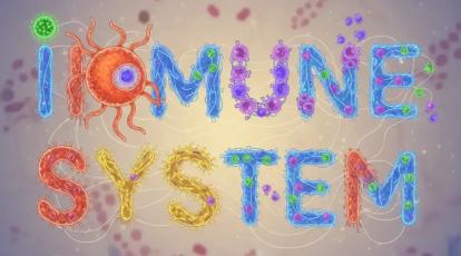 ضعف سیستم ایمنی، پیری زودرس پوست و ریزش موی ناگهانی!