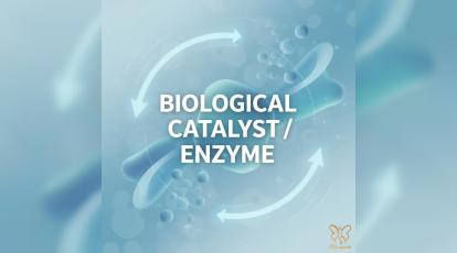 آیا پوست شما به کاتالیزور نیاز دارد؟ راهکارهای مدرن درمان افتادگی پوست در مشهد