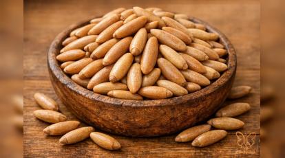 تاثیر معجزه‌آسای چلغوز بر پوست + معرفی بهترین کلینیک زیبایی در مشهد