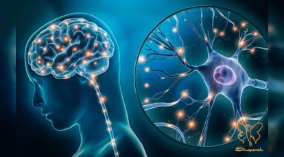 ام اس و خدمات زیبایی: آیا لیزر و بوتاکس برای بیماران ام اس خطرناک است؟