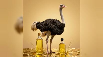 آیا روغن شترمرغ واقعاً چین و چروک را از بین می‌برد؟ پاسخ قطعی در مشهد