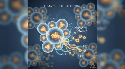 ویتامین B3 نیاسین: فعال‌ سازی ژن‌ های ضدپیری با خدمات کلینیک شاپرک مشهد