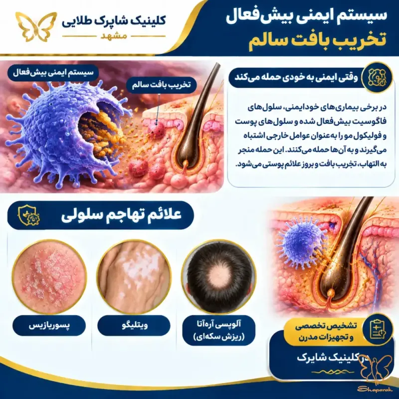  کلینیک تخصصی لیزر موهای زائد&nbsp;شاپرک طلایی مشهد