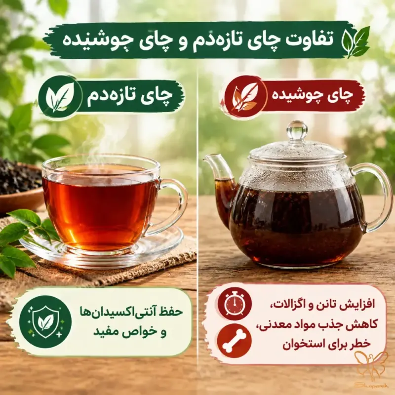 چرا چای تازه دم انتخاب سالم تری است چرا چای تازه دم انتخاب سالم تری است